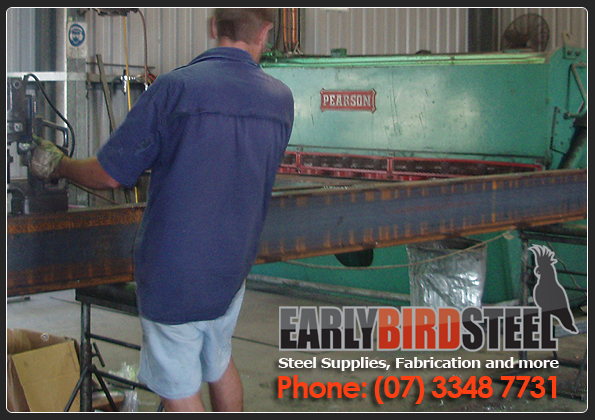 Earlybird Steel